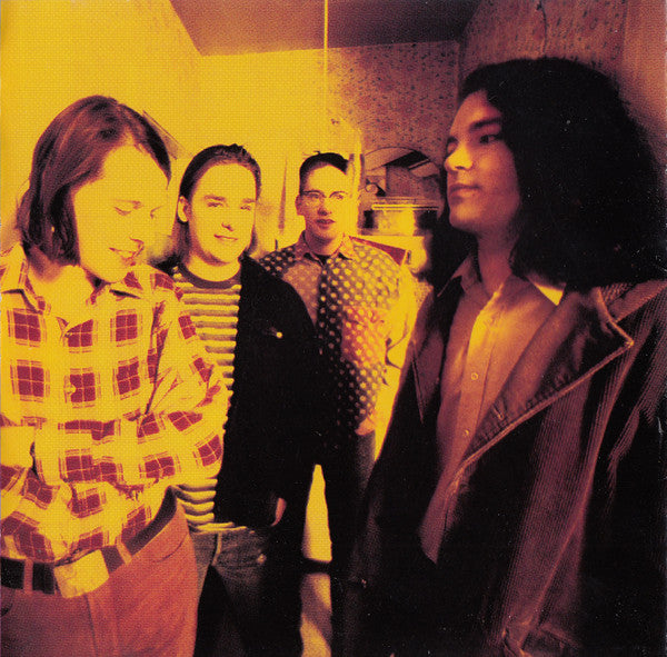 The Posies - Frosting On The Beater