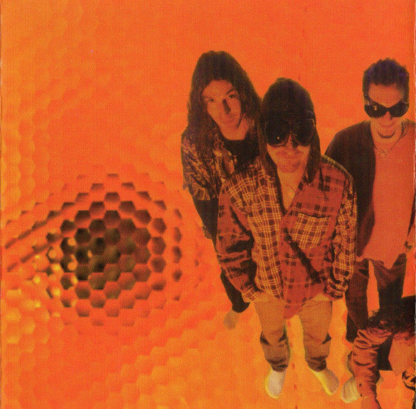 Alice In Chains - Jar Of Flies