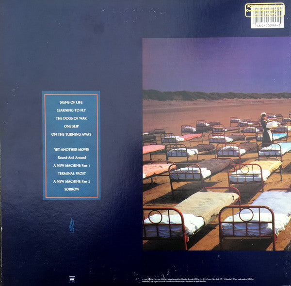 Pink Floyd - A Momentary Lapse Of Reason