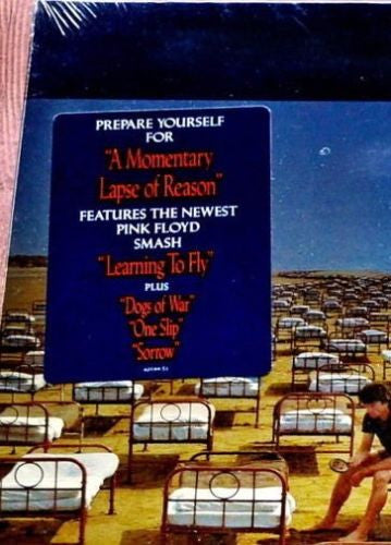 Pink Floyd - A Momentary Lapse Of Reason