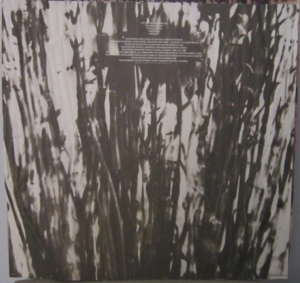 The Psychedelic Furs - Book Of Days