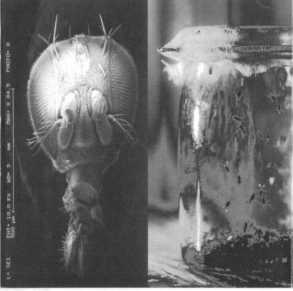 Alice In Chains - Jar Of Flies