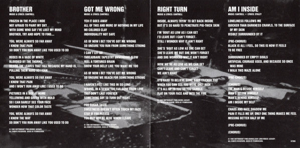 Alice In Chains - Sap