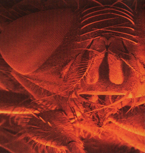 Alice In Chains - Jar Of Flies