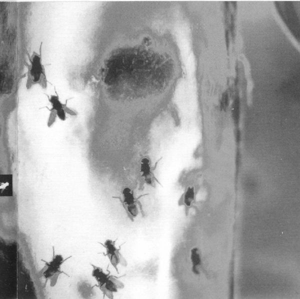 Alice In Chains - Jar Of Flies
