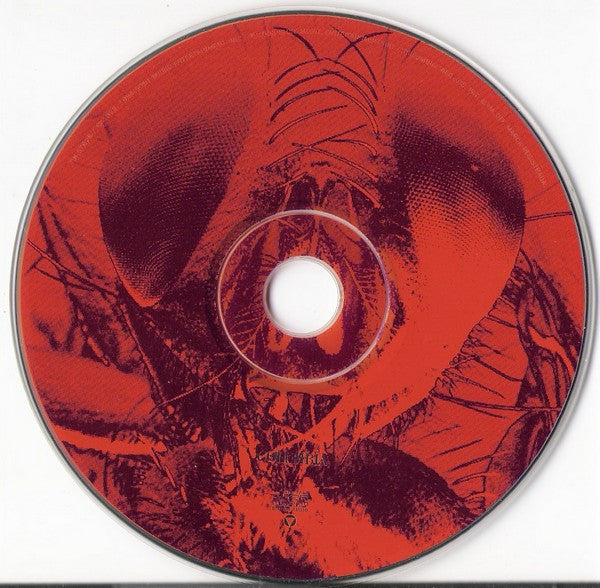 Alice In Chains - Jar Of Flies