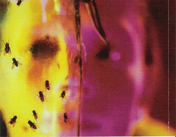 Alice In Chains - Jar Of Flies