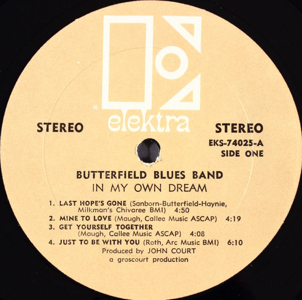 The Paul Butterfield Blues Band - In My Own Dream