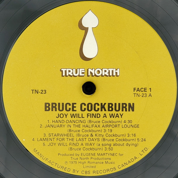 Bruce Cockburn - Joy Will Find A Way