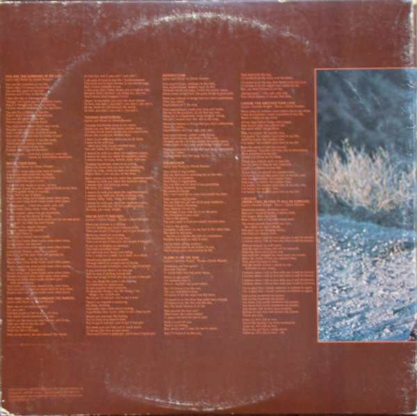 Stevie Wonder - Talking Book