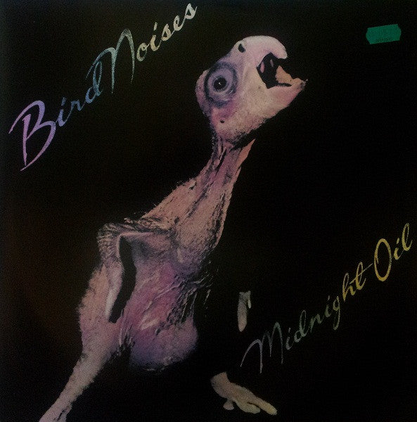 Midnight Oil - Bird Noises