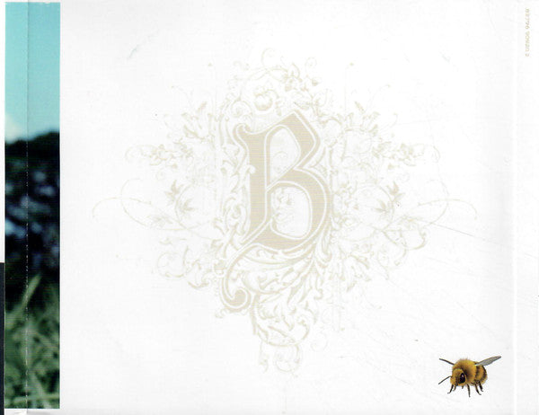 Beyoncé - B'Day