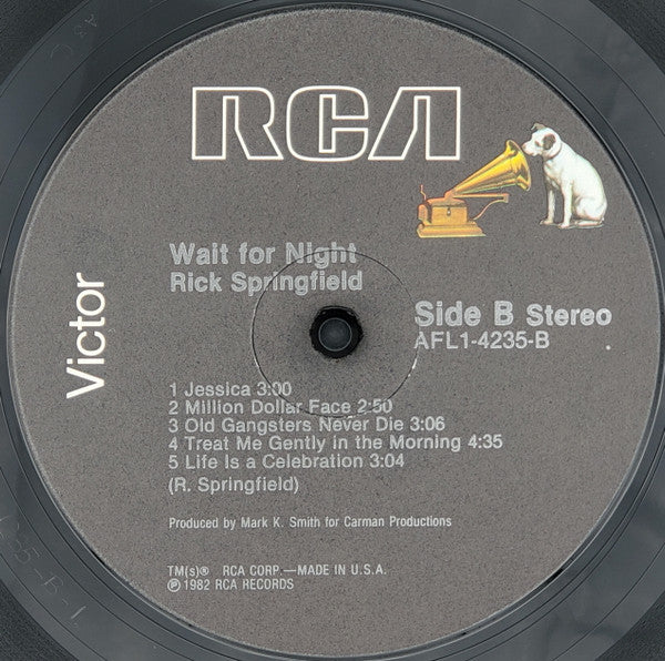 Rick Springfield - Wait For Night