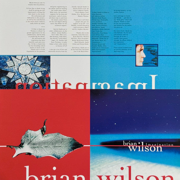 Brian Wilson - Imagination