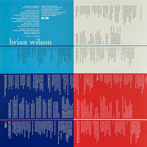 Brian Wilson - Imagination