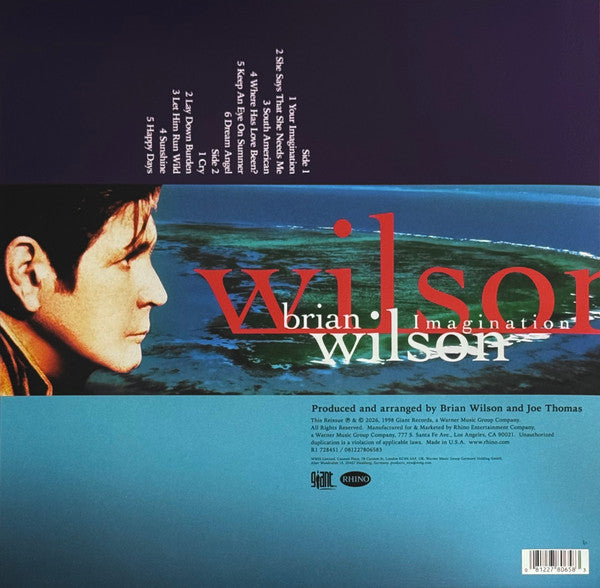 Brian Wilson - Imagination