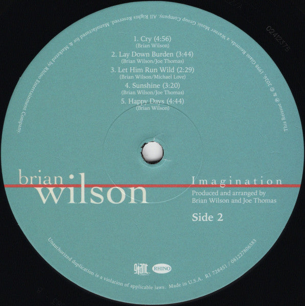 Brian Wilson - Imagination