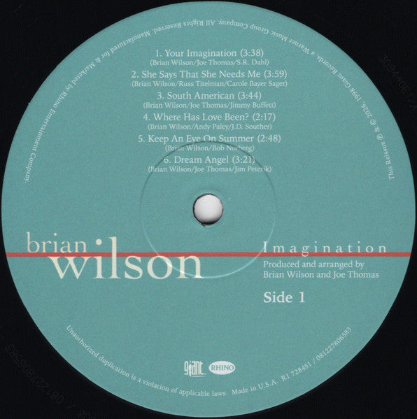 Brian Wilson - Imagination