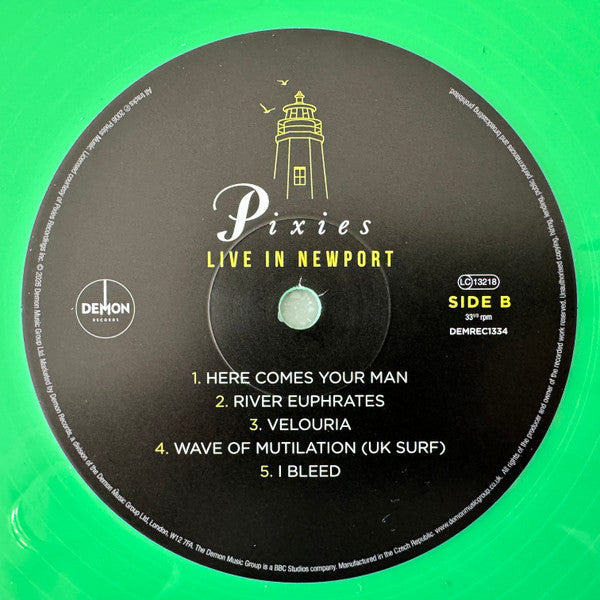 Pixies - Live In Newport