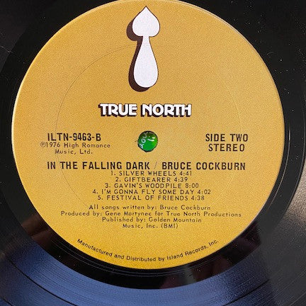 Bruce Cockburn - In The Falling Dark