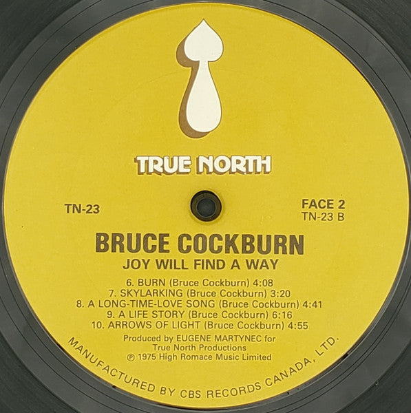 Bruce Cockburn - Joy Will Find A Way