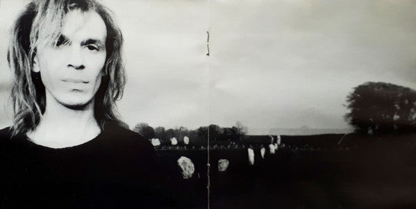 Julian Cope - Peggy Suicide