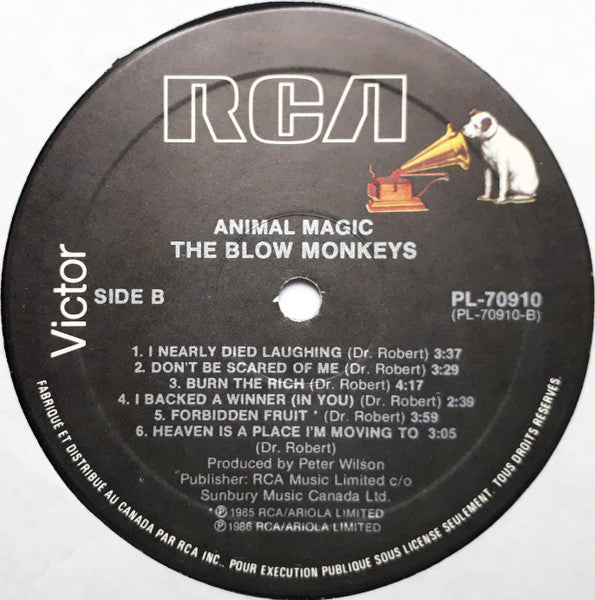 The Blow Monkeys - Animal Magic