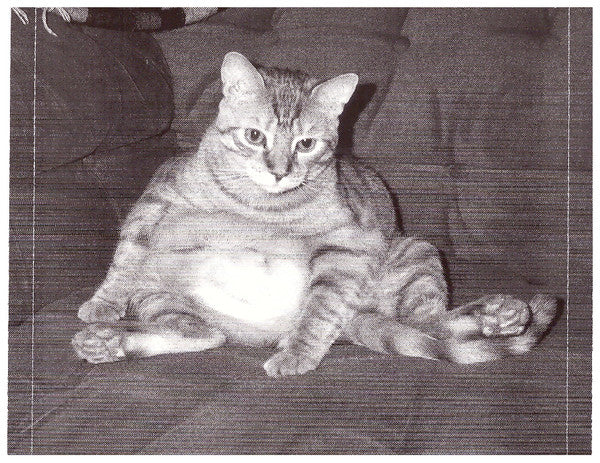 The Bigger Lovers - How I Learned To Stop Worrying