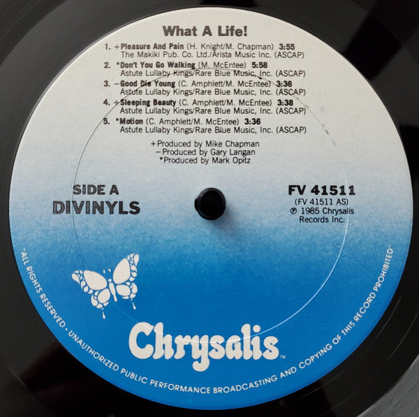 Divinyls - What A Life!