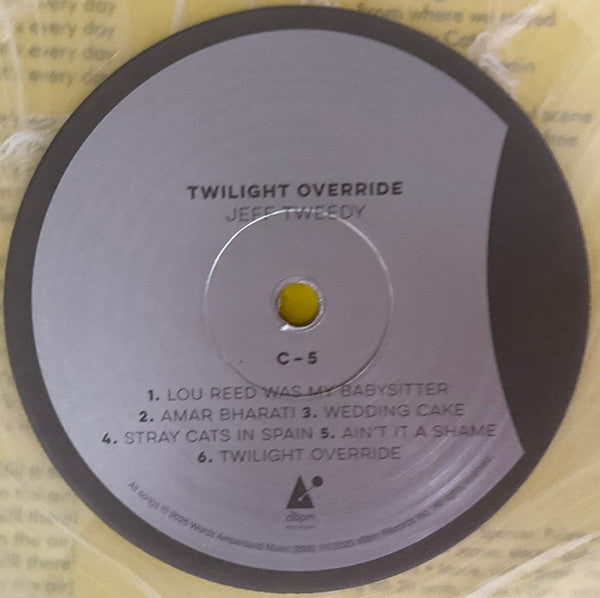 Jeff Tweedy - Twilight Override