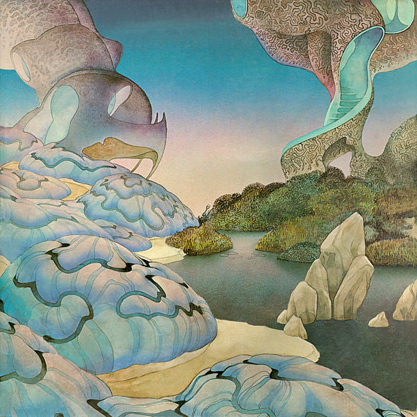 Steve Howe - Beginnings
