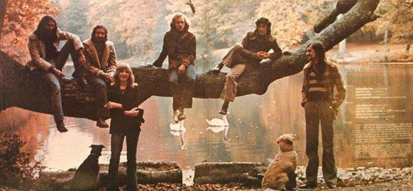 Fleetwood Mac - Penguin