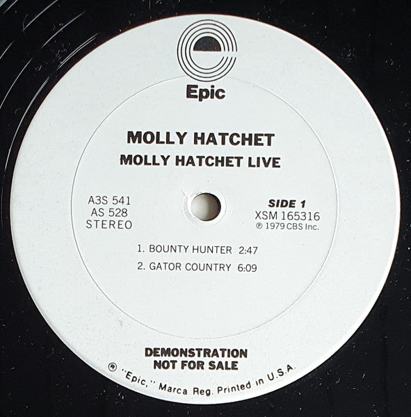 Molly Hatchet - Live