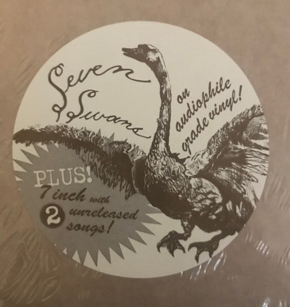 Sufjan Stevens - Seven Swans