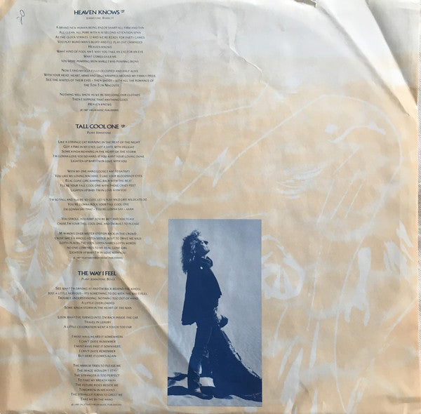 Robert Plant - Now And Zen