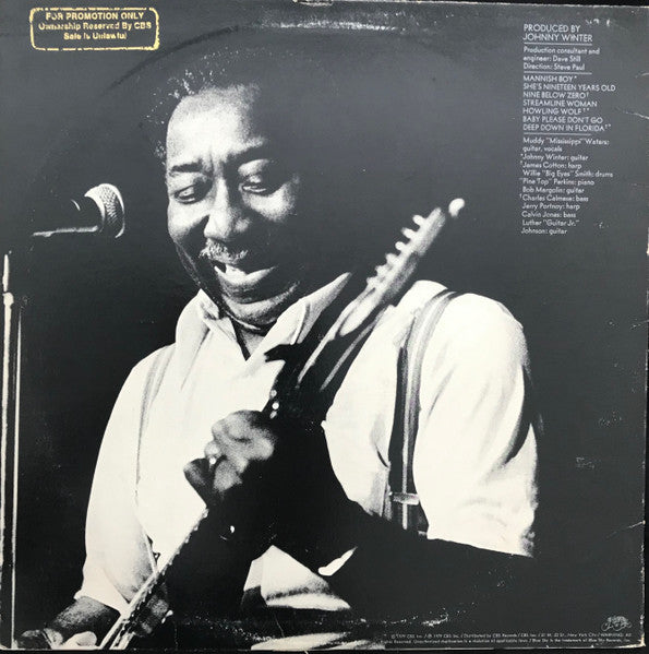 Muddy Waters - Muddy "Mississippi" Waters Live