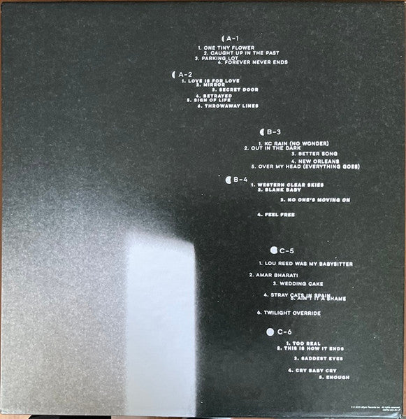 Jeff Tweedy - Twilight Override