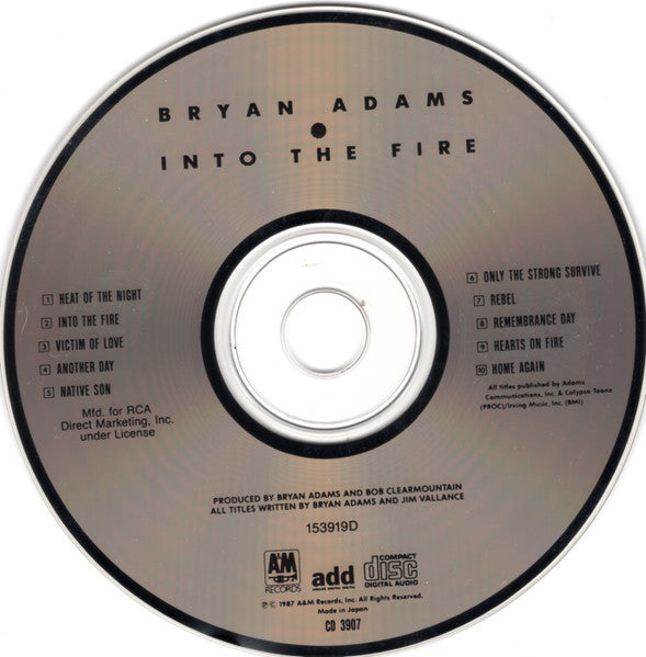 Bryan Adams - Into The Fire