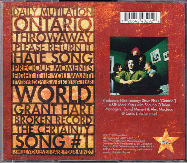 The Posies - Amazing Disgrace