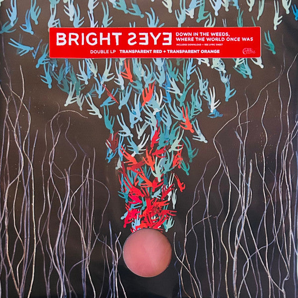 Bright Eyes - Down In The Weeds, Where The World Once Was