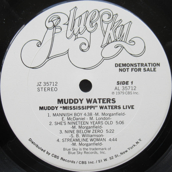 Muddy Waters - Muddy "Mississippi" Waters Live