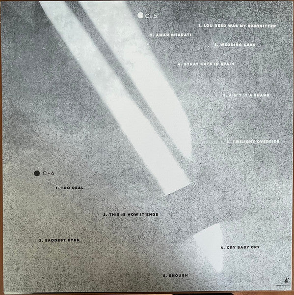 Jeff Tweedy - Twilight Override