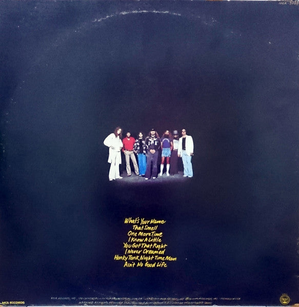 Lynyrd Skynyrd - Street Survivors