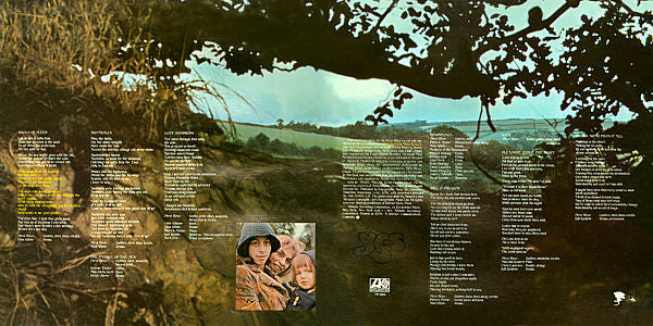 Steve Howe - Beginnings