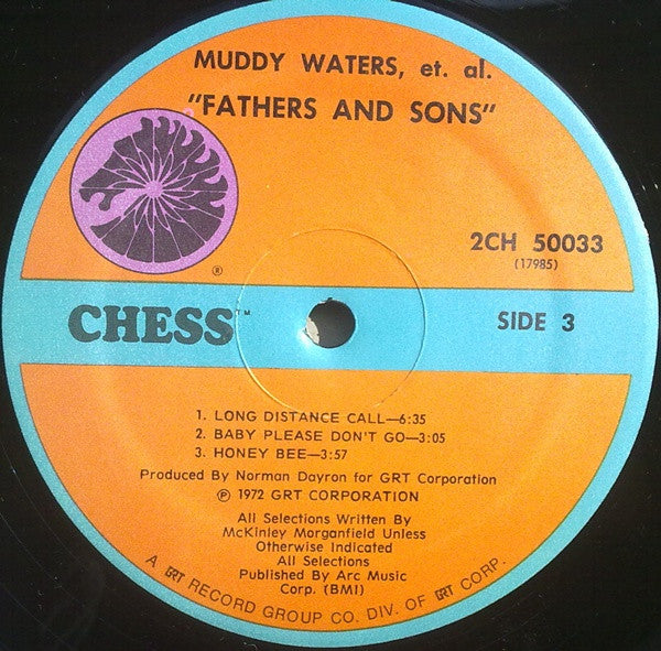 Muddy Waters - Fathers And Sons