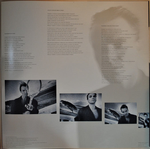 Sting - The Dream Of The Blue Turtles