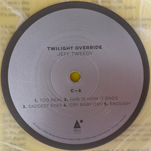 Jeff Tweedy - Twilight Override