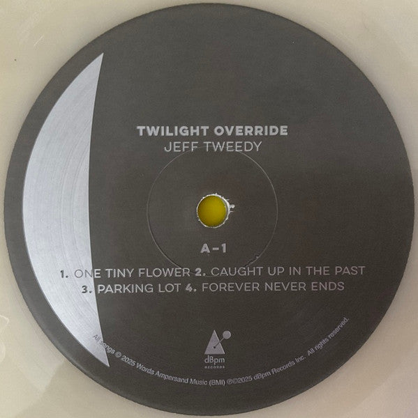 Jeff Tweedy - Twilight Override