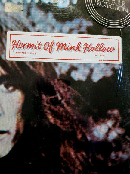 Todd Rundgren - Hermit Of Mink Hollow