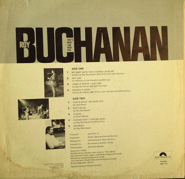 Roy Buchanan - That's What I Am Here For
